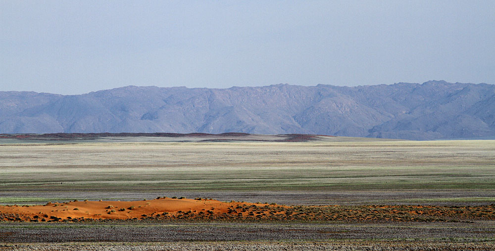 Erster Auslufer der Namib
