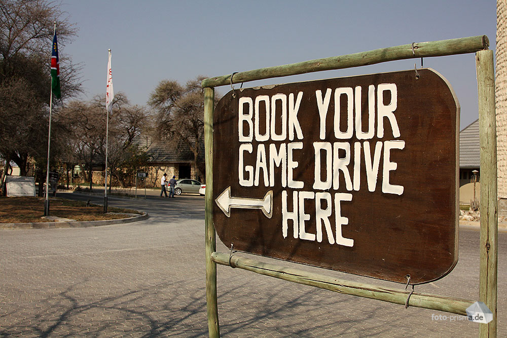 Book Your Game Drive HERE!