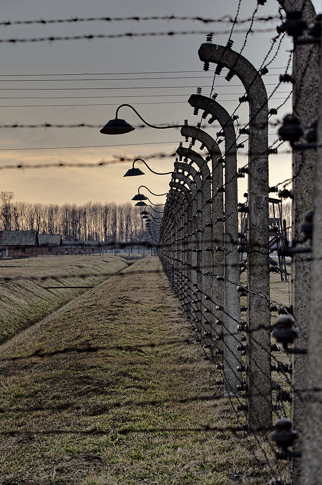 Auschwitz-2014-016