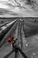 Auschwitz-2014-009