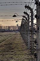 Auschwitz-2014-016